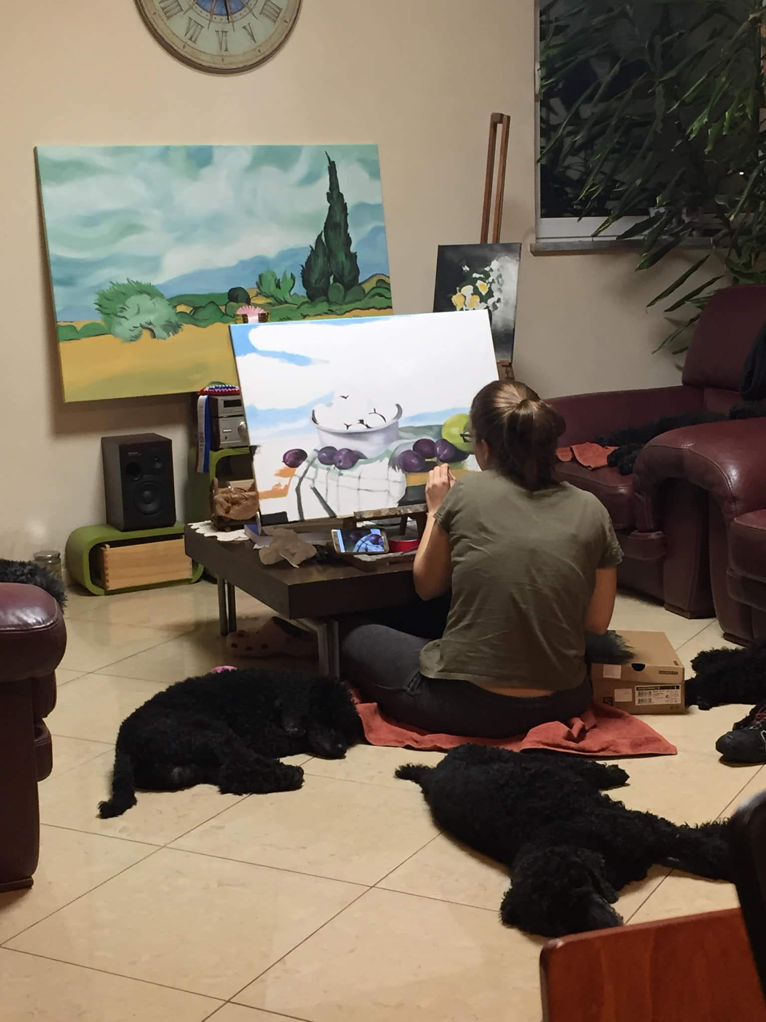 47384068_2172957532735837_1255685516355960832_o