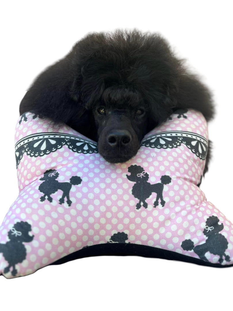 506532274_24303434345928172_8308209694620357992_n (1)