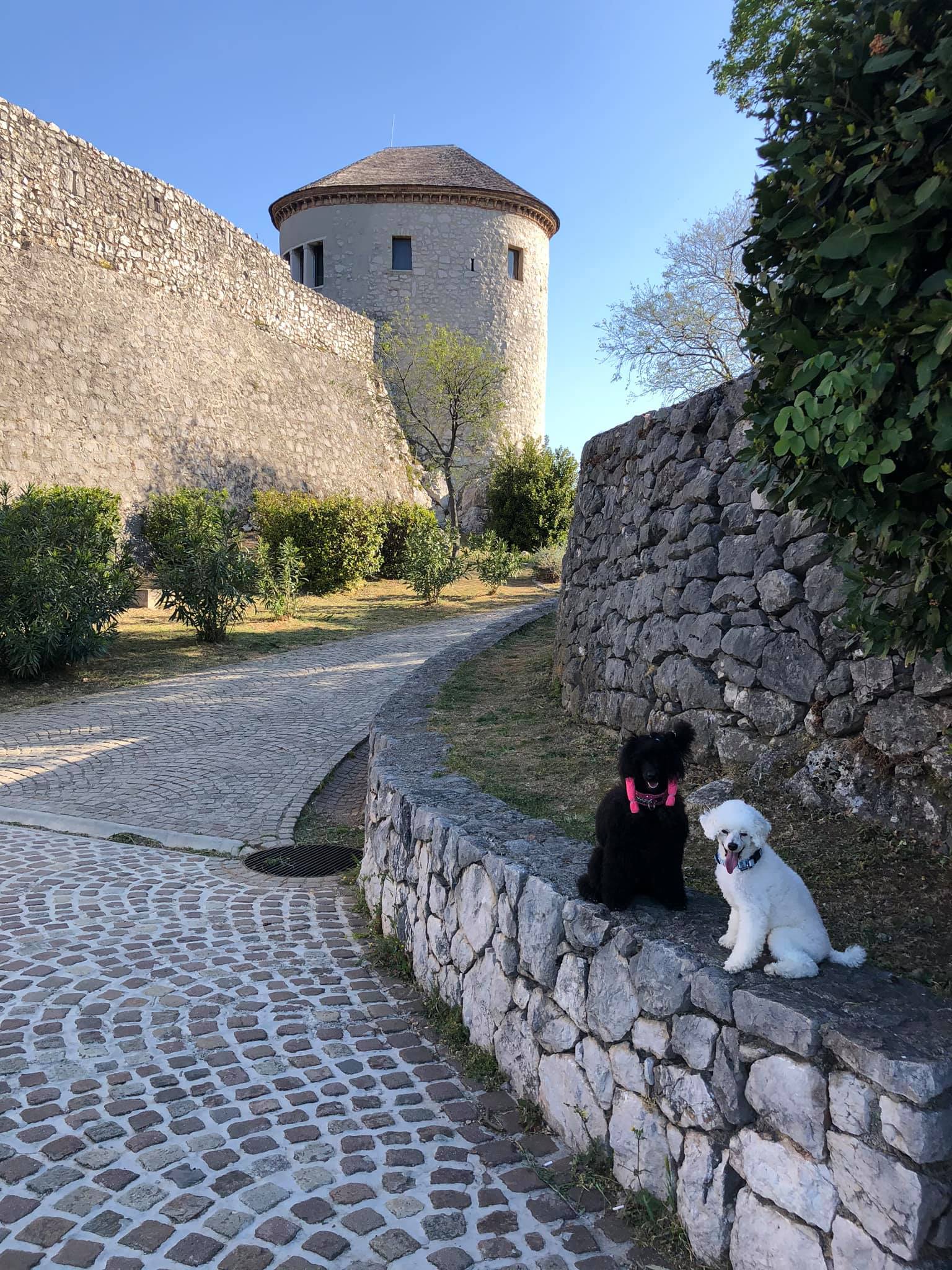 94221471_3180362311995349_6008071351980523520_o