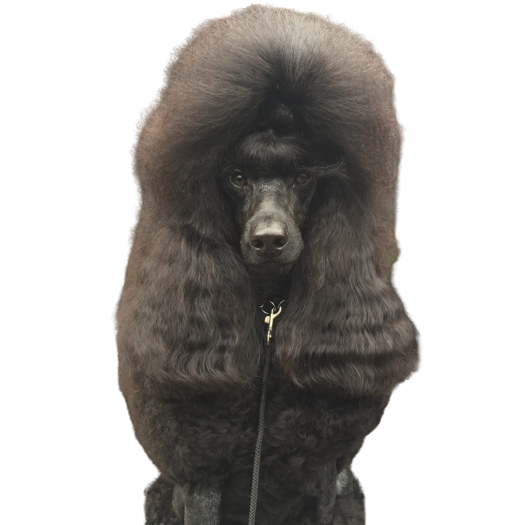 IMG_0341-rotated (1)