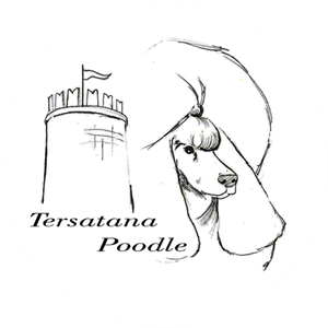 Tersatana Poodles
